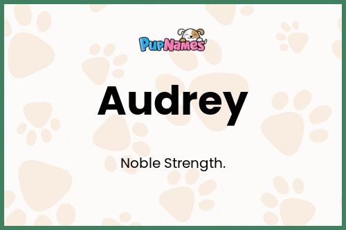 Audrey dog name meaning