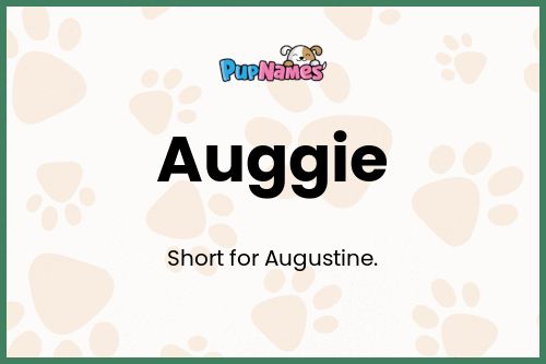 Auggie dog name meaning