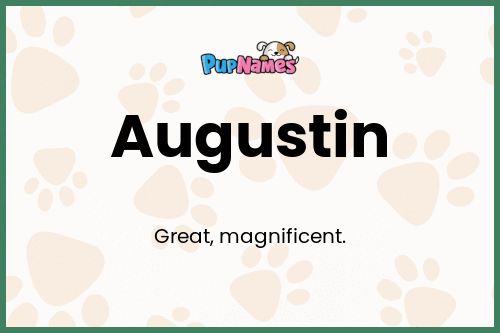 Augustin dog name meaning