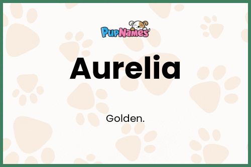 Aurelia dog name meaning