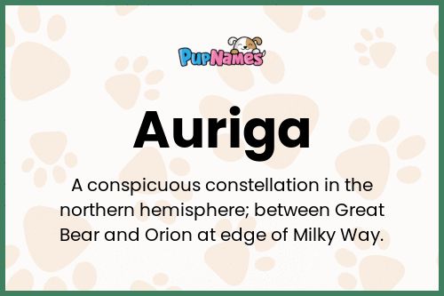 Auriga dog name meaning