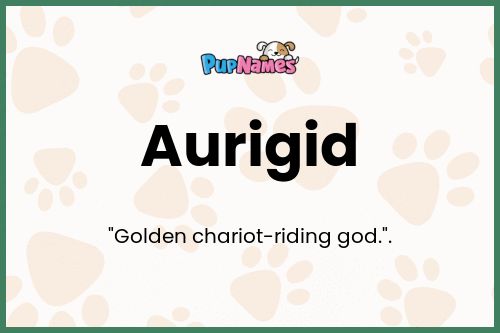 Aurigid dog name meaning