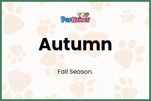 Autumn dog name meaning