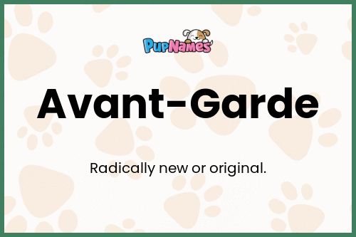 Avant-Garde dog name meaning