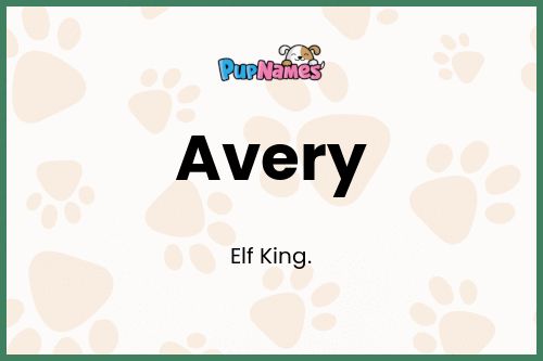 Avery dog name meaning