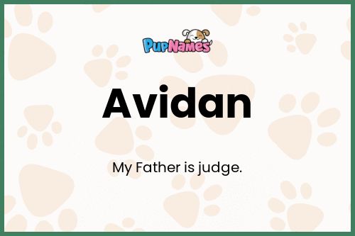 Avidan dog name meaning