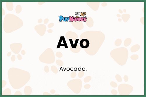 Avo dog name meaning