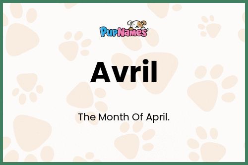 Avril dog name meaning