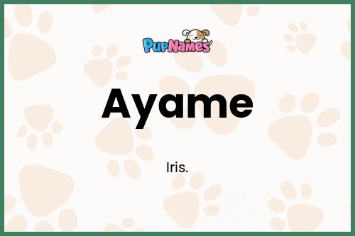 Ayame dog name meaning