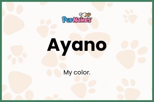 Ayano dog name meaning