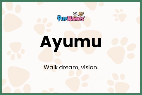 Ayumu dog name meaning