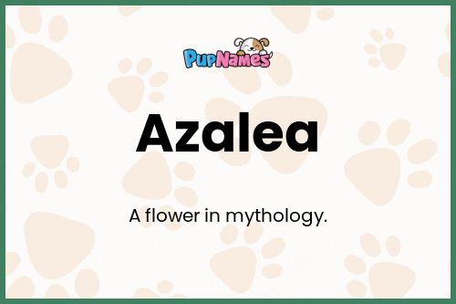 Azalea dog name meaning