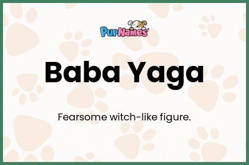 Baba Yaga dog name meaning