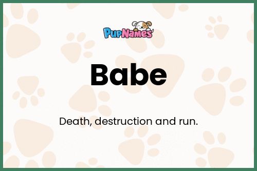 Babe dog name meaning