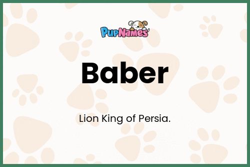 Baber dog name meaning