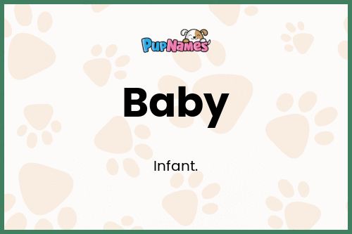 Baby dog name meaning