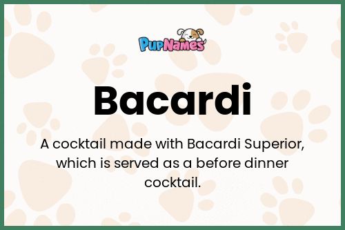 Bacardi dog name meaning