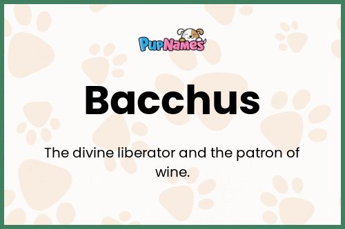 Bacchus dog name meaning