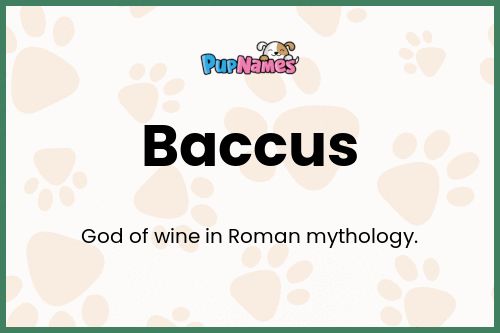 Baccus dog name meaning