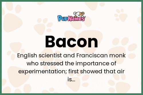 Bacon dog name meaning