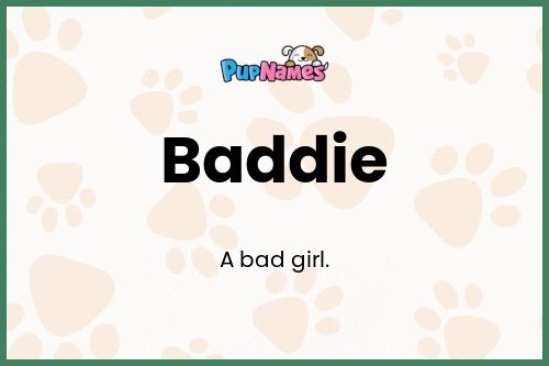 Baddie dog name meaning