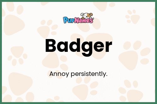 Badger dog name meaning