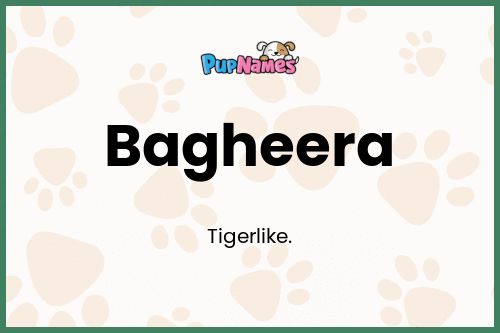 Bagheera dog name meaning