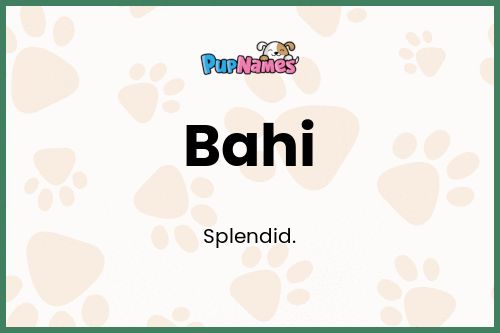 Bahi dog name meaning