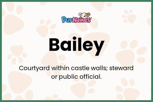 Bailey dog name meaning