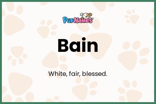 Bain dog name meaning