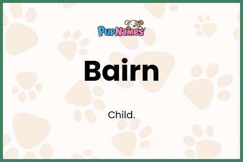 Bairn dog name meaning
