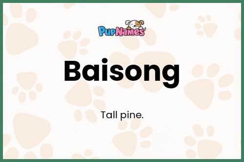 Baisong dog name meaning