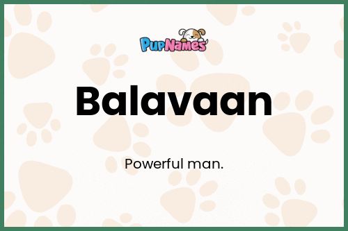 Balavaan dog name meaning