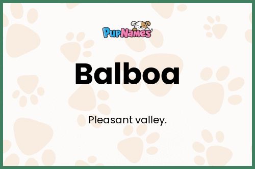 Balboa dog name meaning