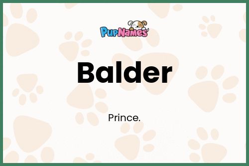 Balder dog name meaning