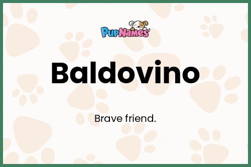 Baldovino dog name meaning