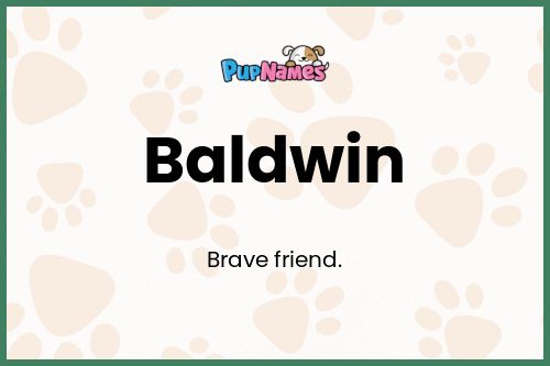 Baldwin dog name meaning