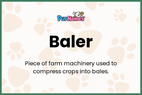 Baler dog name meaning