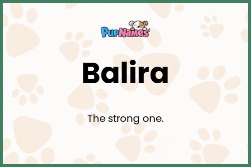 Balira dog name meaning