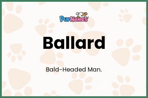 Ballard dog name meaning