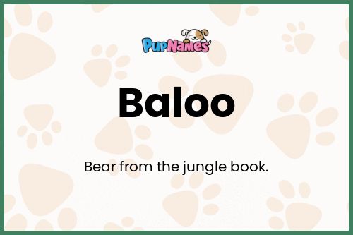 Baloo dog name meaning