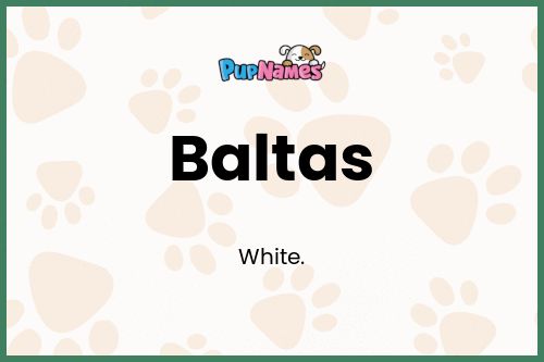 Baltas dog name meaning