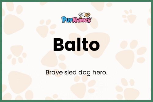 Balto dog name meaning