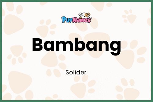 Bambang dog name meaning