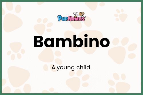 Bambino dog name meaning