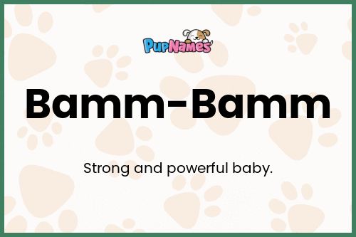 Bamm-Bamm dog name meaning