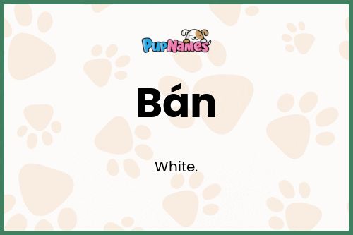 Bán dog name meaning