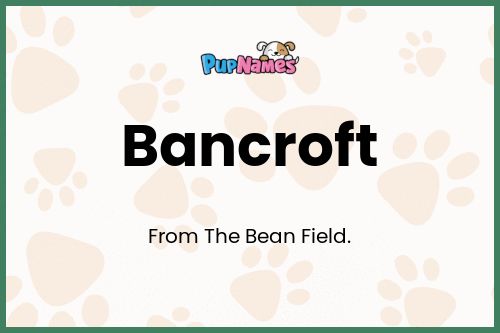 Bancroft dog name meaning