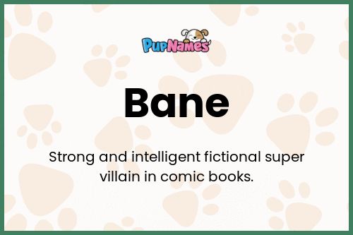 Bane dog name meaning