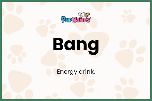 Bang dog name meaning